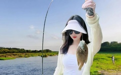 两阳夹一阴后续走势的小说